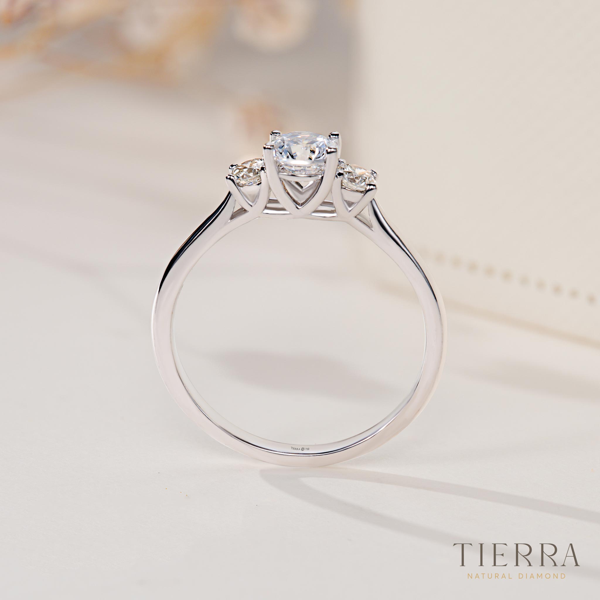 Mẫu nhẫn cầu hôn đẹp NCH3101 nhân ba sự lấp lánh